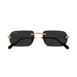Cartier 0577S 001